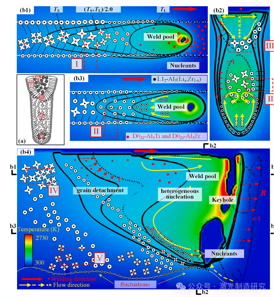 【本期推荐】华中科技大学等单位《OLT》:铝锂合金中厚板激光深熔焊接中的组织不均匀分布及其形成机理! 【本期推荐】华中科技大学等单位《OLT》:铝锂合金中厚板激光深熔焊接中的组织不均匀分布及其形成机理!