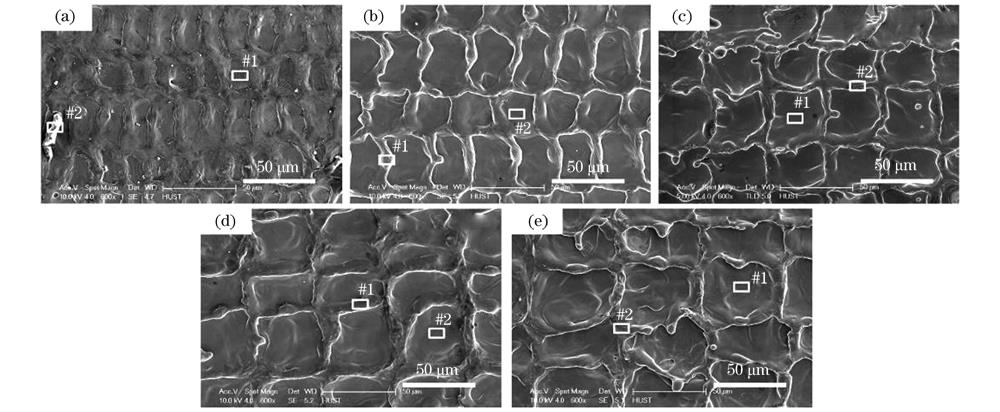 【本期推荐】铝合金激光清洗表面形貌变化的实验研究及工艺参数优化